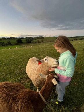 Jilly Park Farmstay Experience Discover Authentic Farm Life Complimentary Breakfast Included